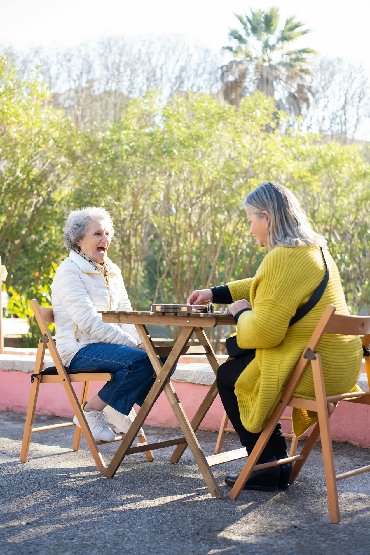 Companionship care